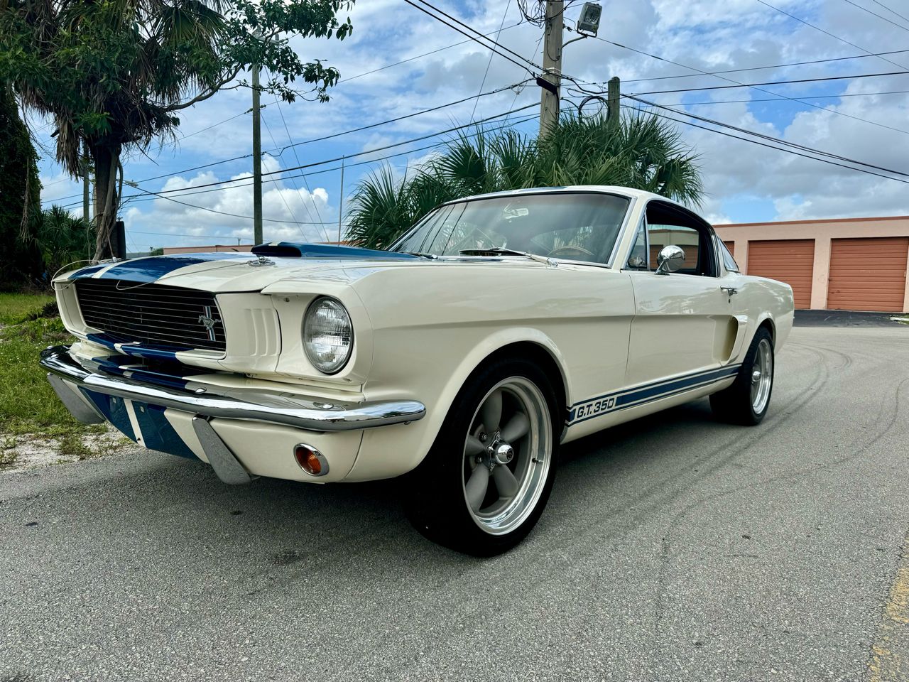 1966 Mustang Fastback Image