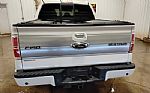 2013 F-150 Thumbnail 8