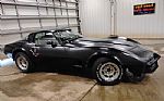 1981 Corvette Thumbnail 2