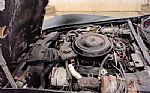 1981 Corvette Thumbnail 10