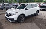 2020 CR-V Thumbnail 2