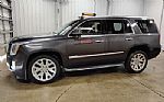 2015 Escalade Thumbnail 5