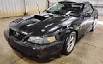 2001 MUSTANG Thumbnail 4