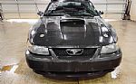 2001 MUSTANG Thumbnail 7