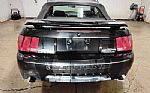 2001 MUSTANG Thumbnail 8