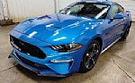 2019 MUSTANG Thumbnail 4