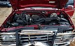 1995 F-150 4X4 Thumbnail 10