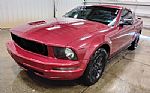 2007 Mustang Thumbnail 4