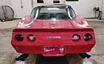 1981 Corvette Thumbnail 8