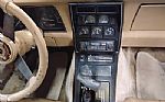 1981 Corvette Thumbnail 10