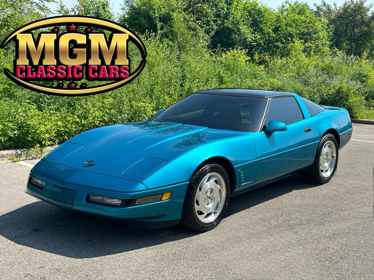 1995 Corvette Image