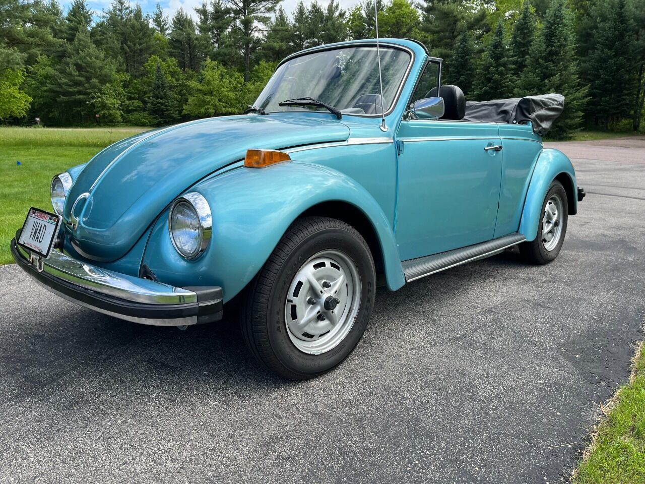 1979 Super Beetle Image