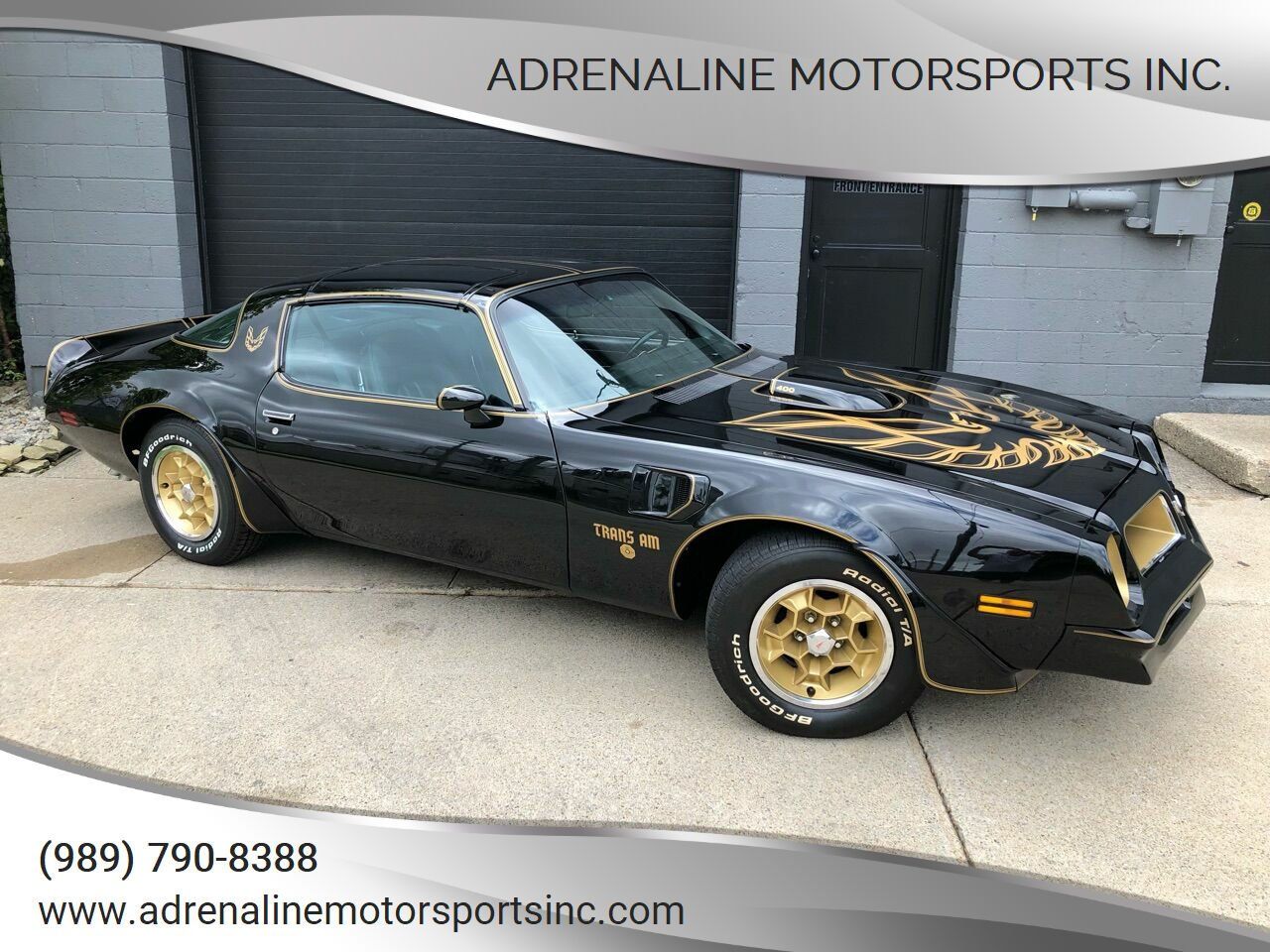 1976 Firebird Trans Am Image