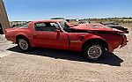 1977 Trans Am Thumbnail 1