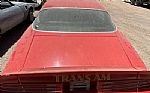 1977 Trans Am Thumbnail 15