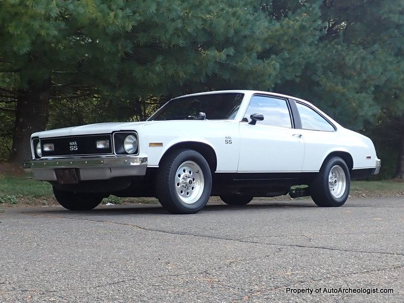 1976 Nova Image