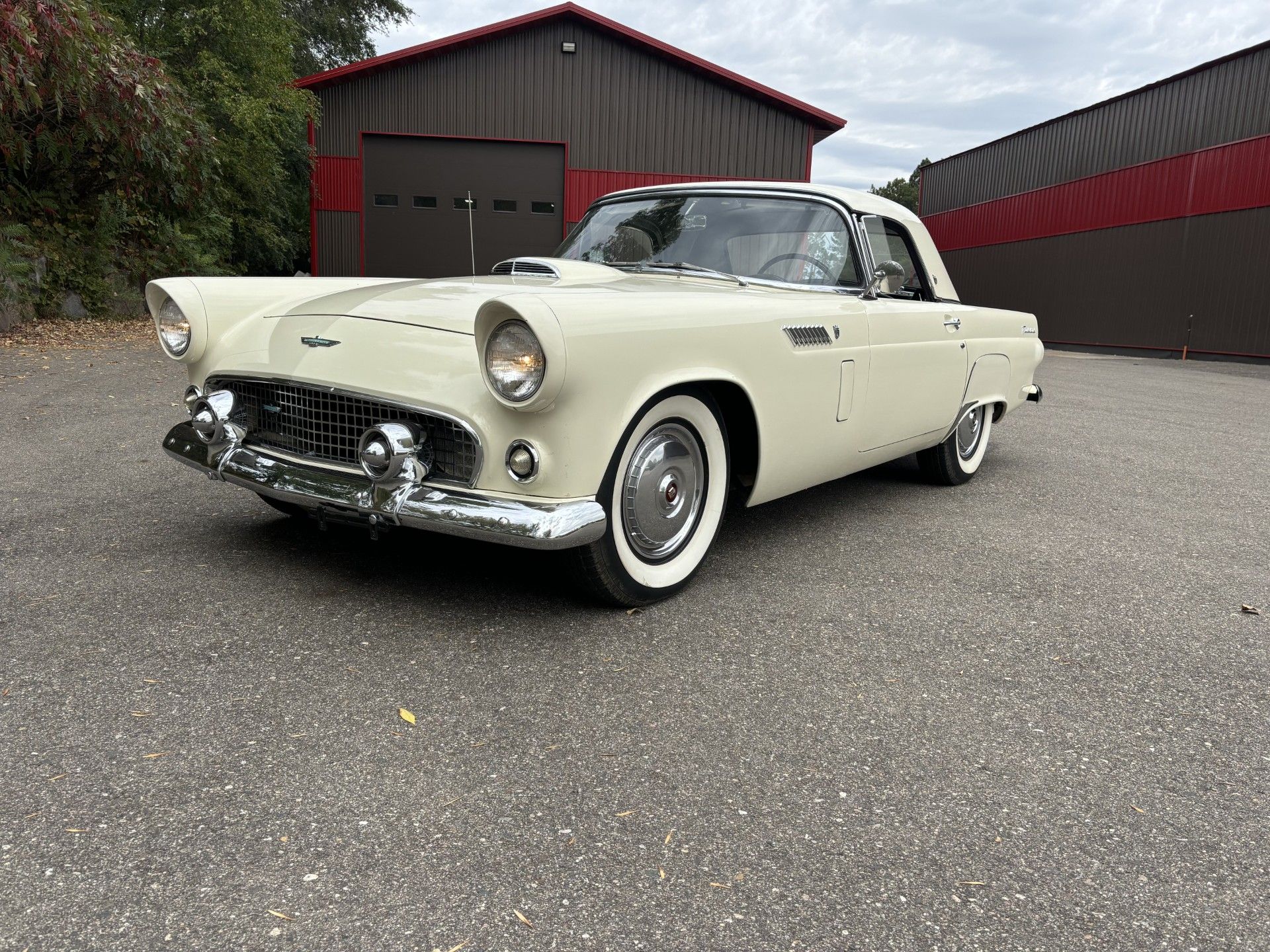 1956 Thunderbird Image