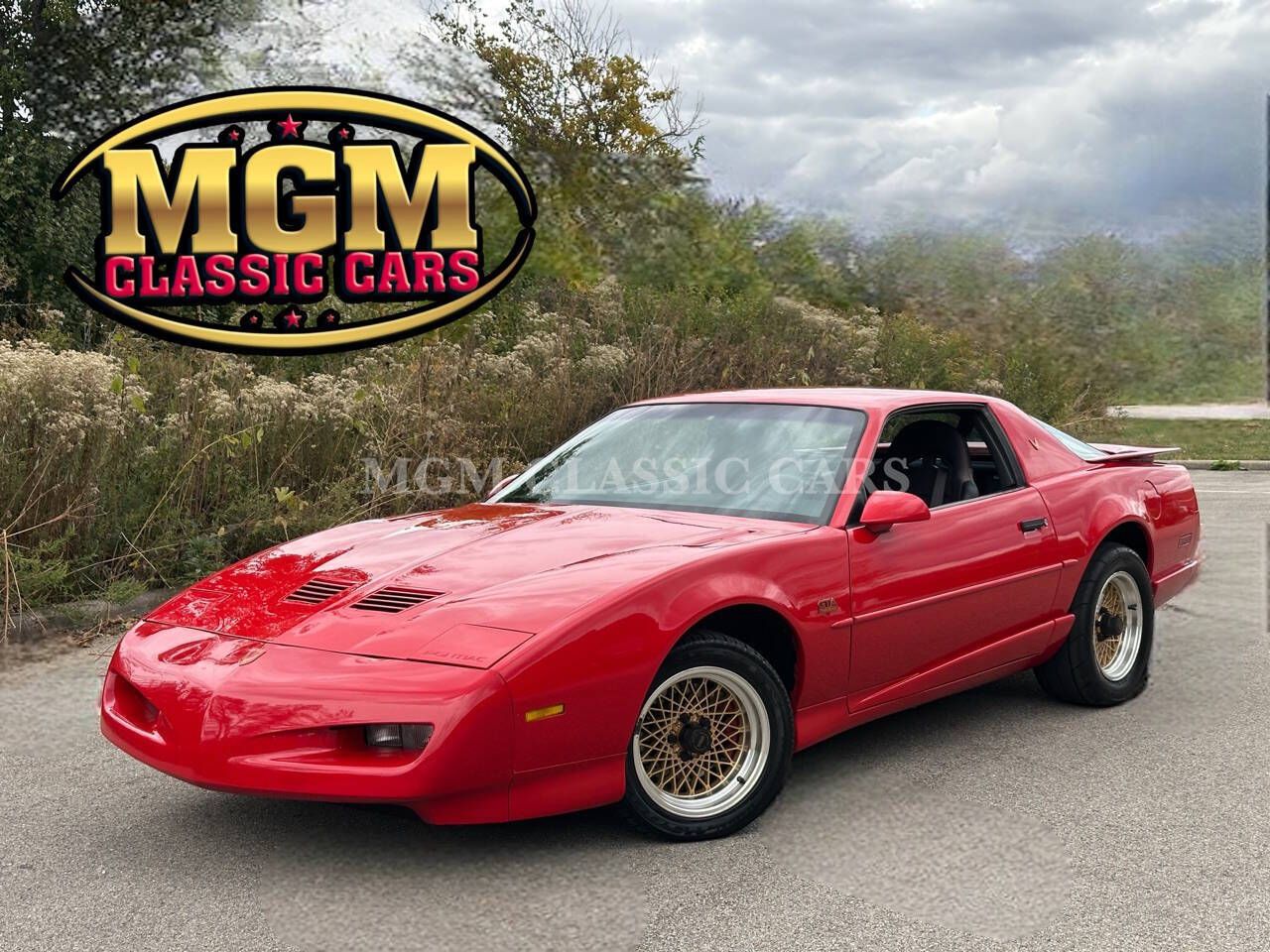 1992 Firebird Image