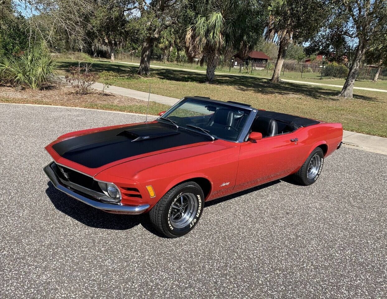 1970 Mustang Image