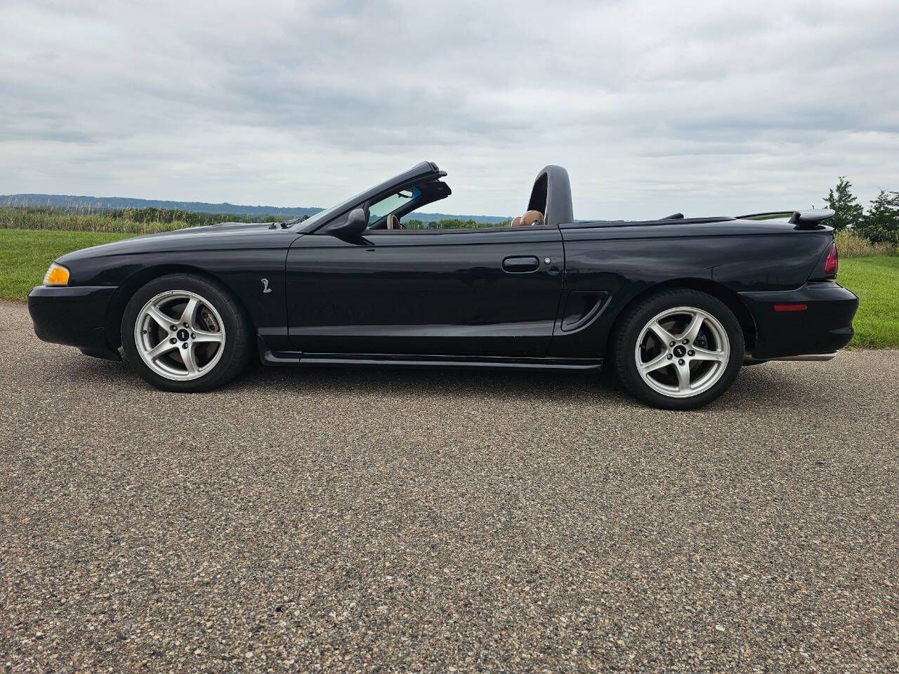 1998 SVT Cobra Image