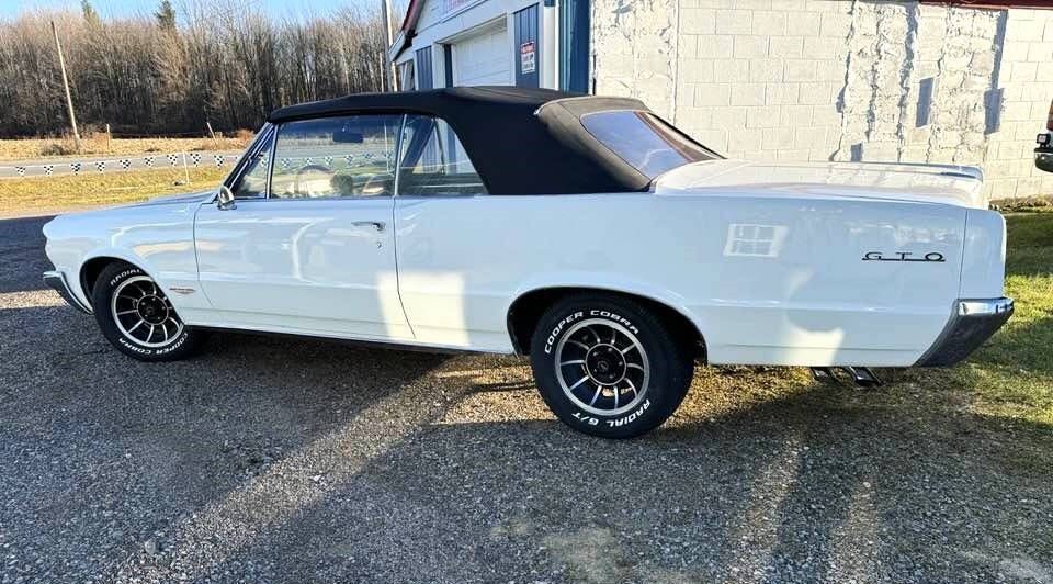 1964 GTO Image