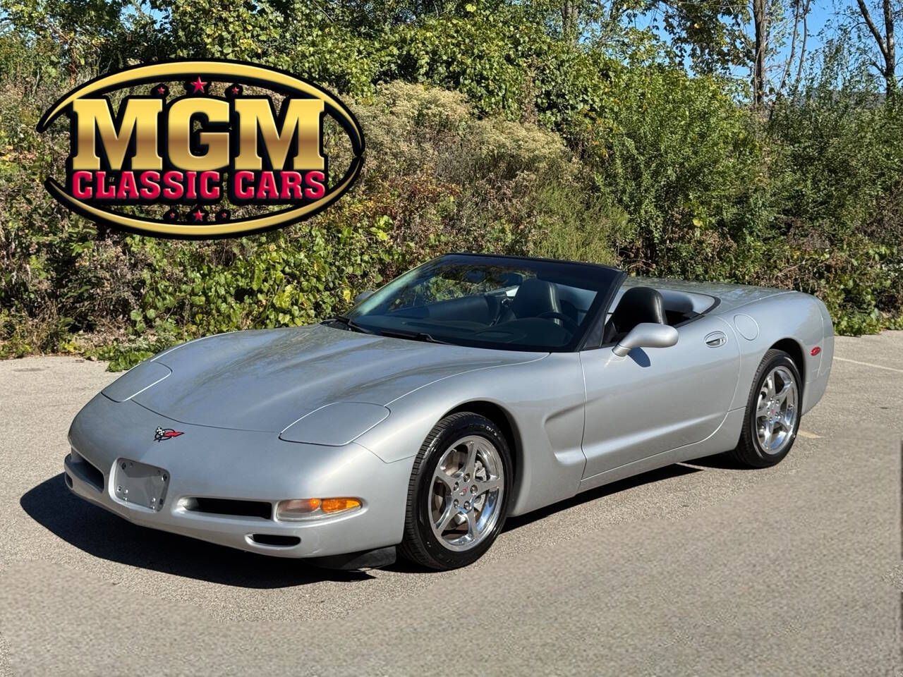 1999 Corvette Image