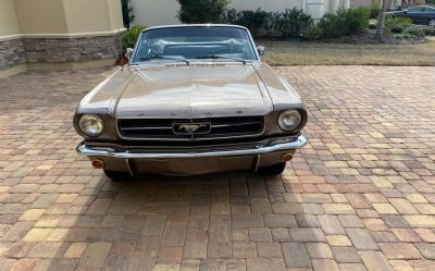 1965 Ford Mustang 