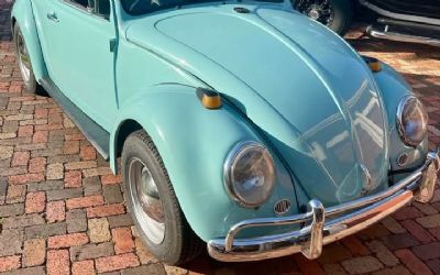 1966 Volkswagen Beetle Euro Model 