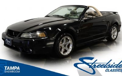 2001 Ford Mustang SVT Cobra Convertible 