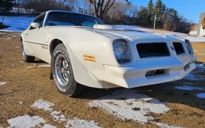 1976 Pontiac Firebird Trans Am