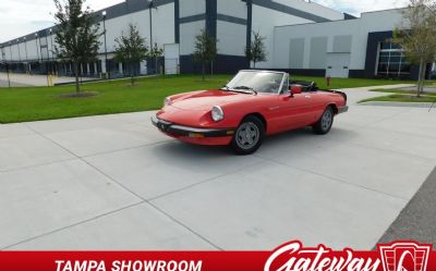 1984 Alfa Romeo Spider Veloce 