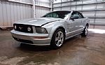 2006 Mustang Thumbnail 1
