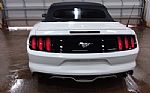 2016 Mustang Thumbnail 8