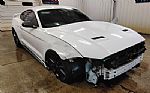 2018 MUSTANG Thumbnail 1