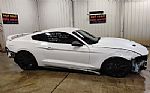 2018 MUSTANG Thumbnail 2